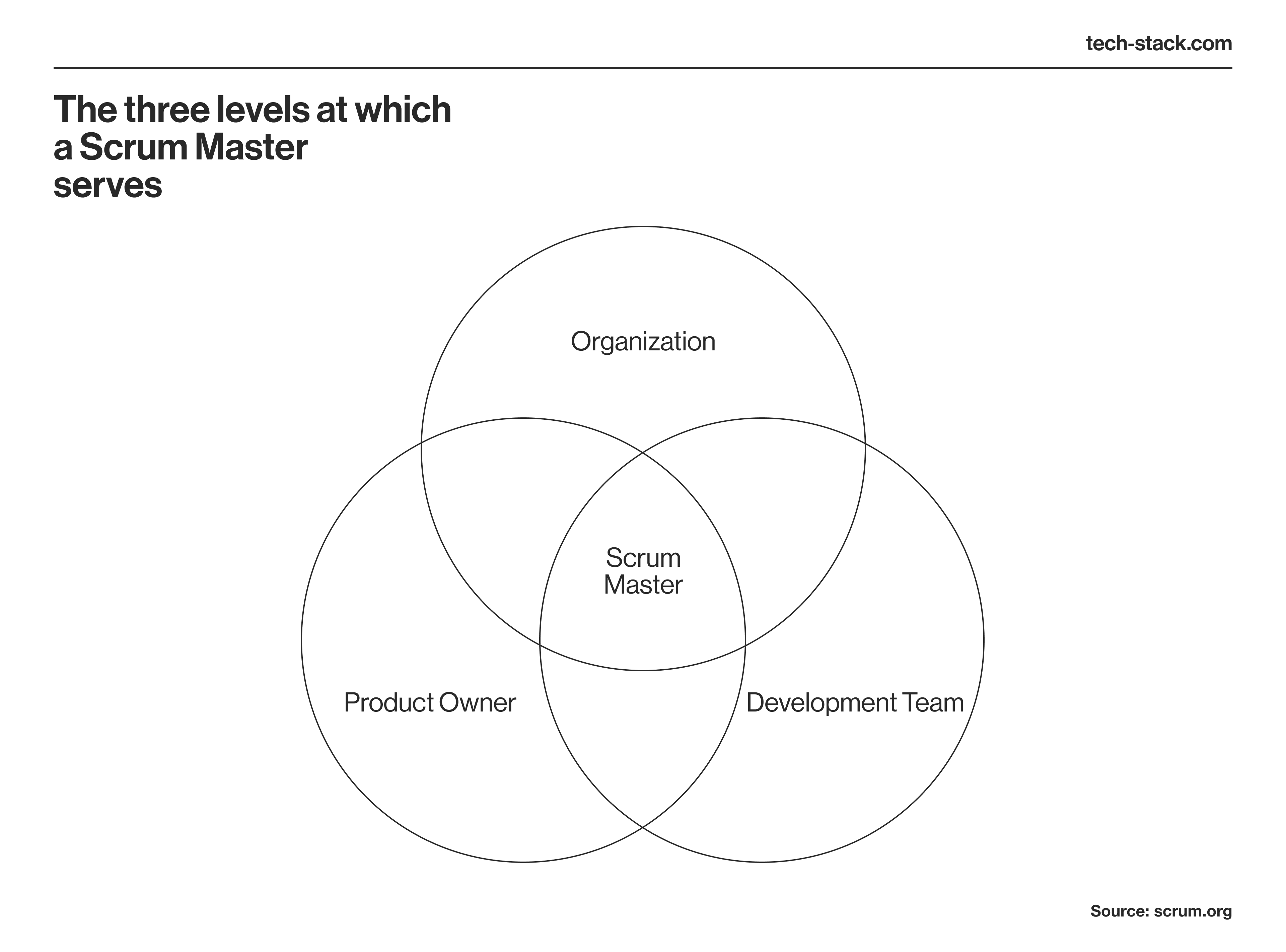 Levels at which a Scrum Master serves
